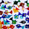 assorted tile fish