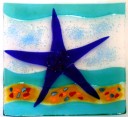 starfish square plate